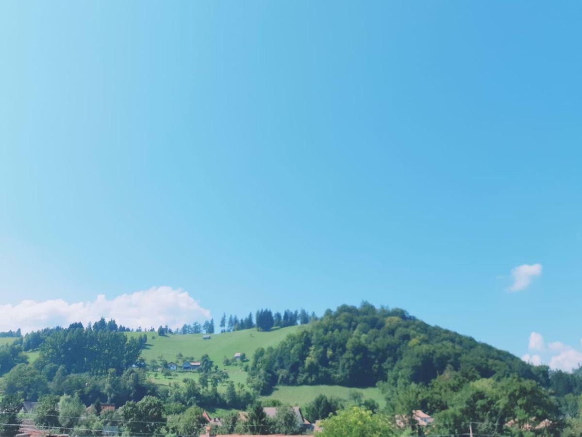 Casa Gabi Otel Bran  Dış mekan fotoğraf